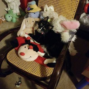 Meet your Posher, Marie